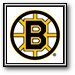 Boston Bruins